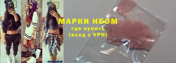 индика Нефтекумск