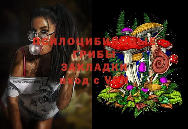а пвп мука Новодвинск
