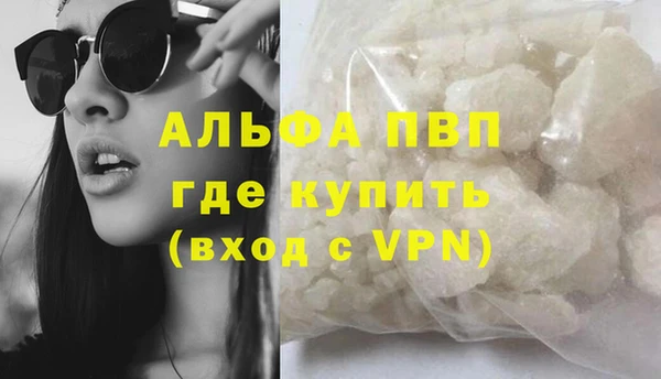 индика Нефтекумск