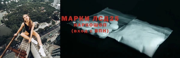 индика Нефтекумск