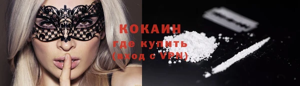 соль курить ск Новодвинск
