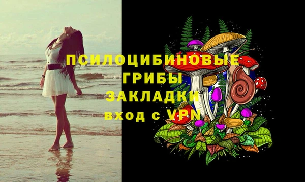 стафф Нефтегорск