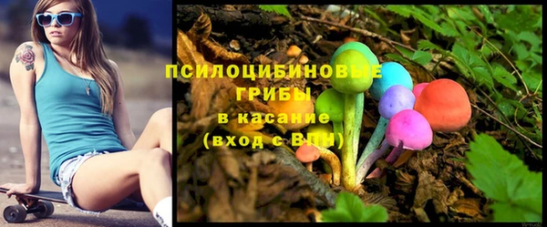 стафф Нефтегорск
