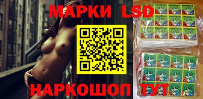 стаф Будённовск