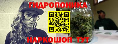 стаф Будённовск