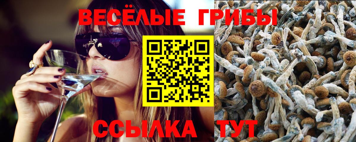Галлюциногенные грибы ЛСД  Вход с VPN  Иваново  Псилоцибиновые грибы Magic Shrooms 