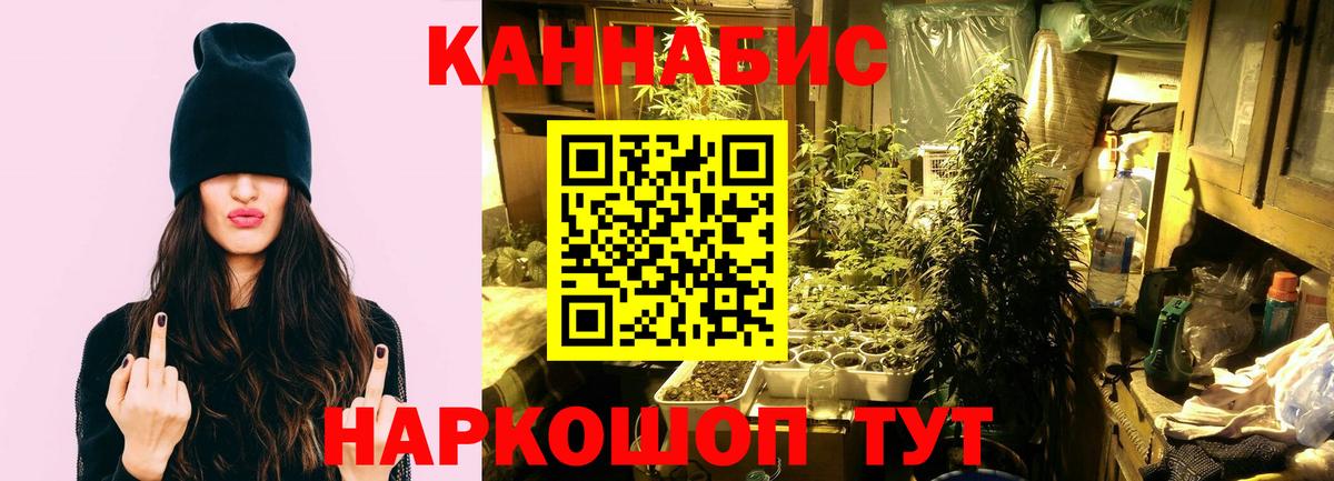 Шишки марихуана THC 21% Иваново